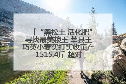 “黑松土 活化肥”寻找最美粮王 莘县王巧英小麦实打实收亩产1515.4斤 超对照田144斤！