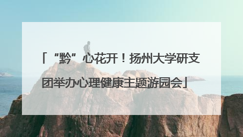 “黔”心花开！扬州大学研支团举办心理健康主题游园会