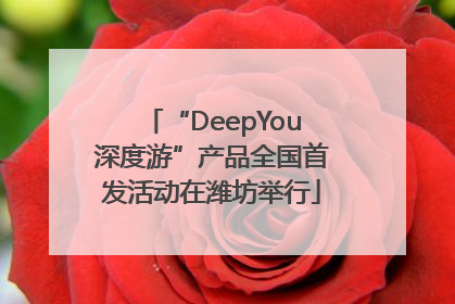 “DeepYou深度游”产品全国首发活动在潍坊举行