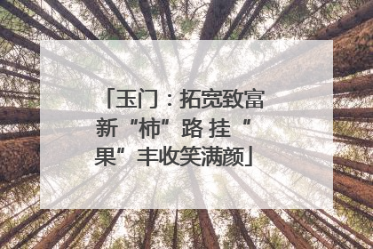 玉门：拓宽致富新“柿”路 挂“果”丰收笑满颜
