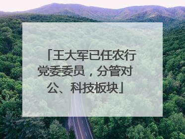 王大军已任农行党委委员，分管对公、科技板块