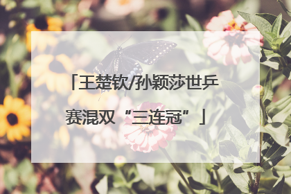 王楚钦/孙颖莎世乒赛混双“三连冠”