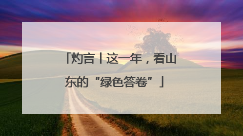 灼言丨这一年，看山东的“绿色答卷”
