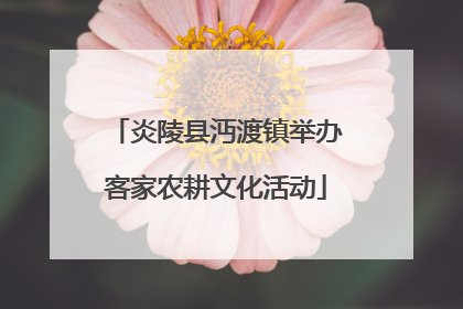 炎陵县沔渡镇举办客家农耕文化活动