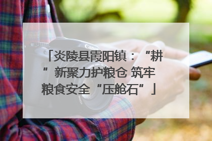 炎陵县霞阳镇：“耕”新聚力护粮仓 筑牢粮食安全“压舱石”