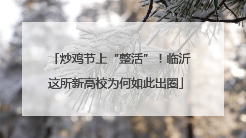 炒鸡节上“整活”！临沂这所新高校为何如此出圈