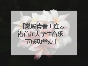 燃爆青春！连云港首届大学生音乐节成功举办