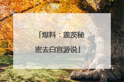 爆料：盖茨秘密去白宫游说