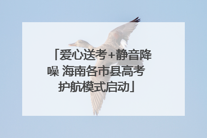 爱心送考+静音降噪 海南各市县高考护航模式启动