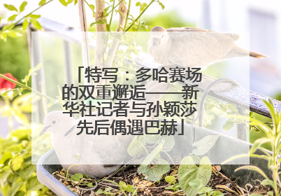 特写：多哈赛场的双重邂逅——新华社记者与孙颖莎先后偶遇巴赫