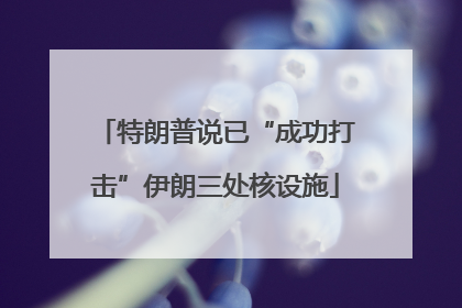 特朗普说已“成功打击”伊朗三处核设施