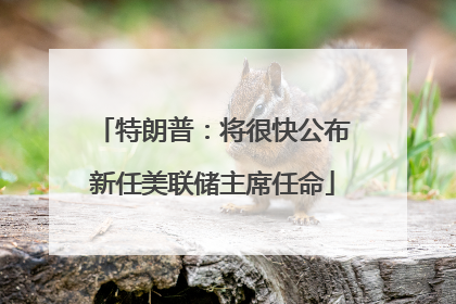 特朗普：将很快公布新任美联储主席任命