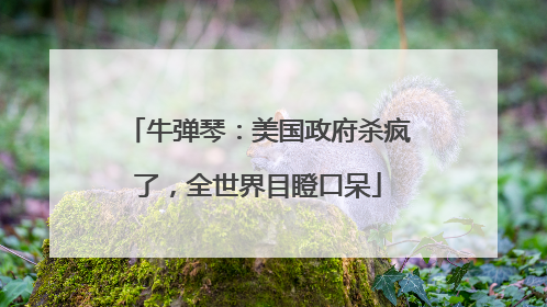 牛弹琴：美国政府杀疯了，全世界目瞪口呆