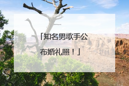 知名男歌手公布婚礼照！