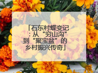 石东村蝶变记：从“穷山沟”到“聚宝盆”的乡村振兴传奇