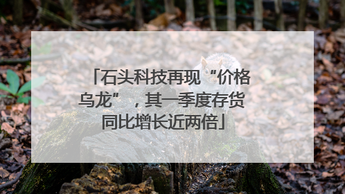 石头科技再现“价格乌龙”，其一季度存货同比增长近两倍