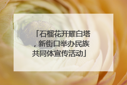 石榴花开耀白塔，新街口举办民族共同体宣传活动