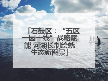 石鼓区：“五区一园一线”战略赋能 河湖长制绘就生态新图景