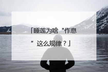 睡莲为啥“作息”这么规律？