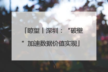 瞭望丨深圳：“破壁”加速数据价值实现