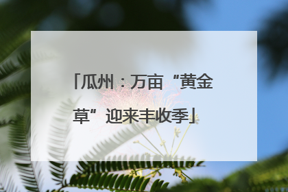 瓜州：万亩“黄金草”迎来丰收季