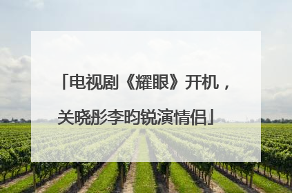 电视剧《耀眼》开机，关晓彤李昀锐演情侣