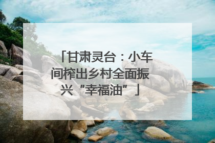甘肃灵台：小车间榨出乡村全面振兴“幸福油”