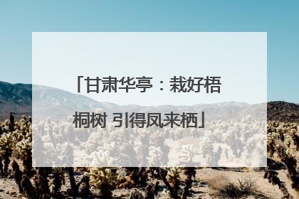甘肃华亭：栽好梧桐树 引得凤来栖