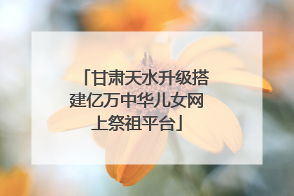 甘肃天水升级搭建亿万中华儿女网上祭祖平台