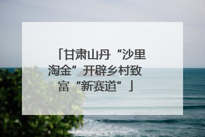 甘肃山丹“沙里淘金”开辟乡村致富“新赛道”