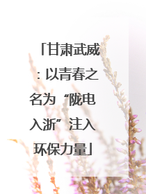 甘肃武威：以青春之名为“陇电入浙”注入环保力量