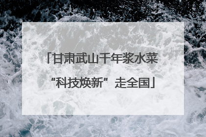 甘肃武山千年浆水菜“科技焕新”走全国