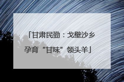 甘肃民勤：戈壁沙乡孕育“甘味”领头羊