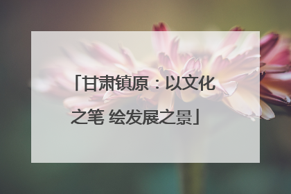 甘肃镇原：以文化之笔 绘发展之景