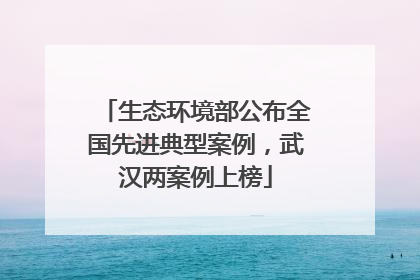 生态环境部公布全国先进典型案例，武汉两案例上榜