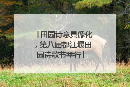 田园诗意具像化，第八届都江堰田园诗歌节举行