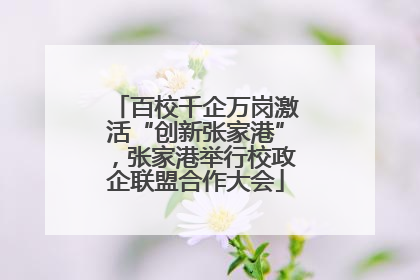 百校千企万岗激活“创新张家港”，张家港举行校政企联盟合作大会