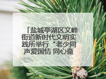 盐城亭湖区文峰街道新时代文明实践所举行“老少同声爱国情 同心奋进新征程”为主题的红色文化活动