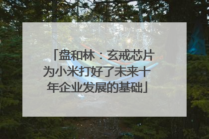 盘和林：玄戒芯片为小米打好了未来十年企业发展的基础