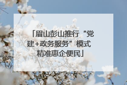 眉山彭山推行“党建+政务服务”模式 精准惠企便民