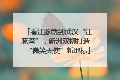 看江豚就到武汉“江豚湾”，新洲双柳打造“微笑天使”新地标