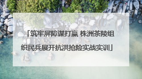 筑牢屏障谋打赢 株洲茶陵组织民兵展开抗洪抢险实战实训