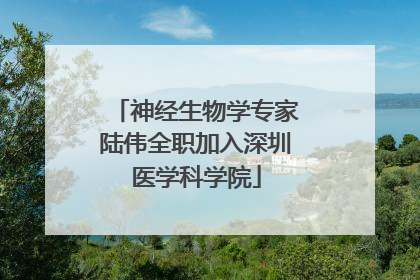 神经生物学专家陆伟全职加入深圳医学科学院