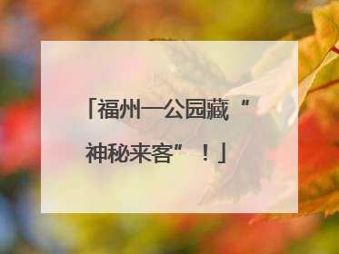 福州一公园藏“神秘来客”！