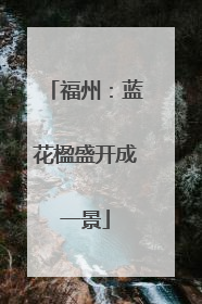 福州：蓝花楹盛开成一景