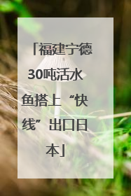福建宁德30吨活水鱼搭上“快线”出口日本