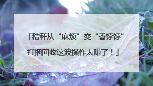 秸秆从“麻烦”变“香饽饽” 打捆回收这波操作太赚了！