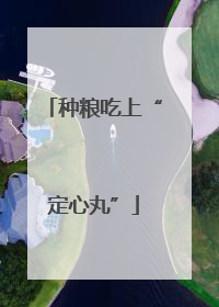 种粮吃上“定心丸”