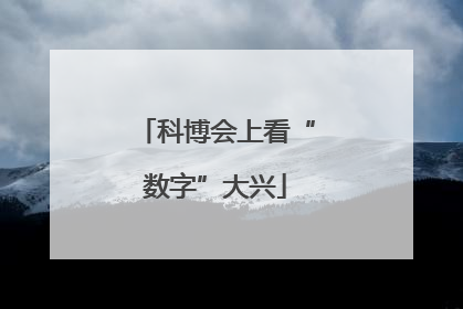 科博会上看“数字”大兴