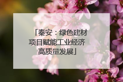 秦安：绿色建材项目赋能工业经济高质量发展